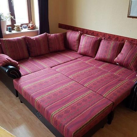 Grosse Ferienwohnung In Dresden-Lobtau エクステリア 写真
