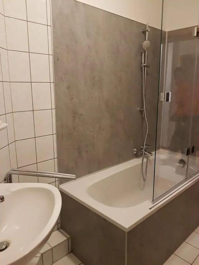 Grosse Ferienwohnung In Dresden-Lobtau エクステリア 写真